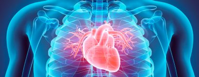 Cardiologie du sport